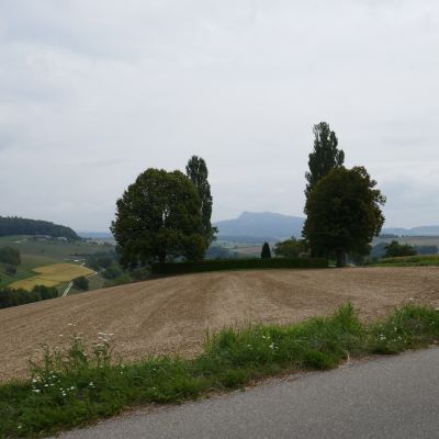 010 Hoher Stoffel im Hintergrund